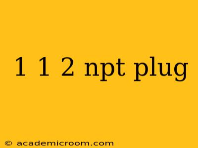 1 1 2 npt plug