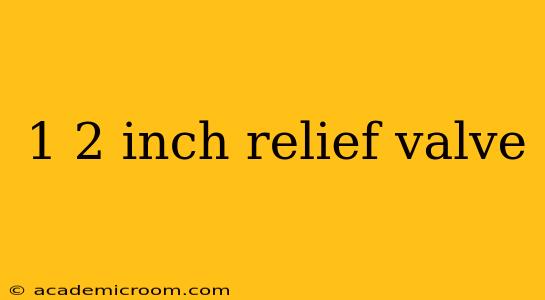 1 2 inch relief valve