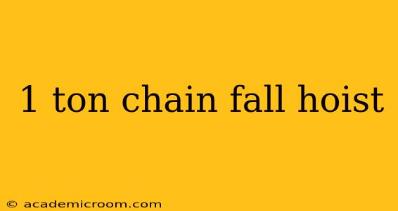 1 ton chain fall hoist