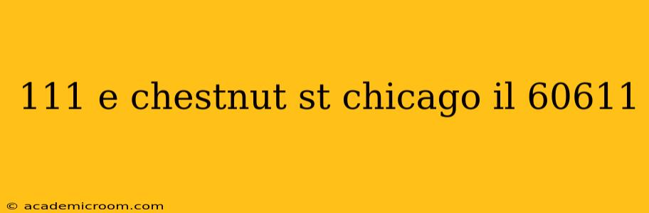 111 e chestnut st chicago il 60611