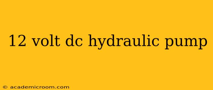 12 volt dc hydraulic pump