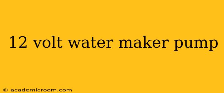 12 volt water maker pump