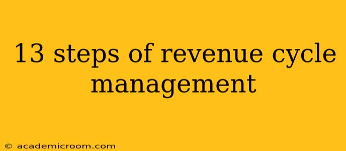 13 steps of revenue cycle management