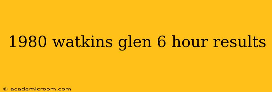 1980 watkins glen 6 hour results