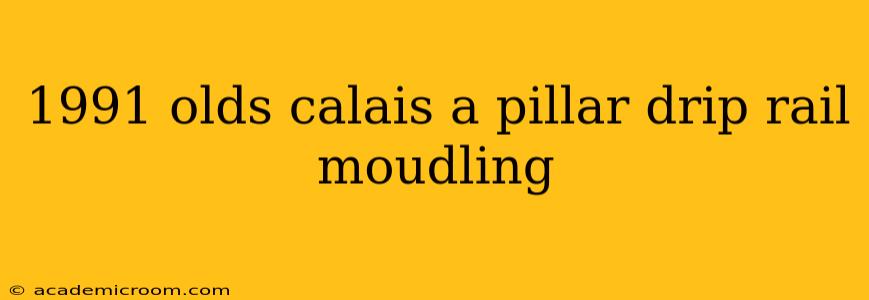 1991 olds calais a pillar drip rail moudling