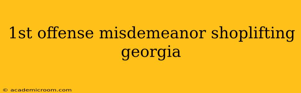 1st offense misdemeanor shoplifting georgia