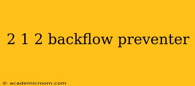 2 1 2 backflow preventer