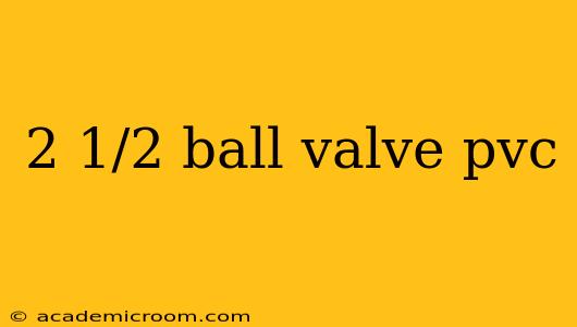 2 1/2 ball valve pvc
