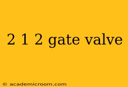 2 1 2 gate valve