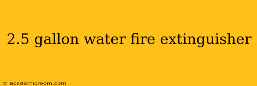 2.5 gallon water fire extinguisher