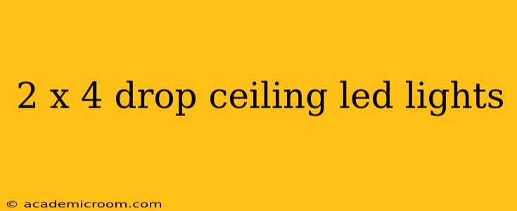 2 x 4 drop ceiling led lights