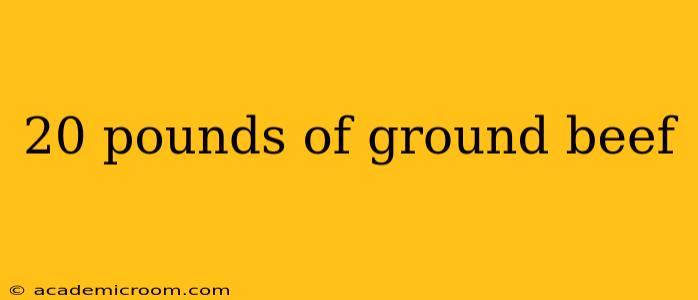 20 pounds of ground beef