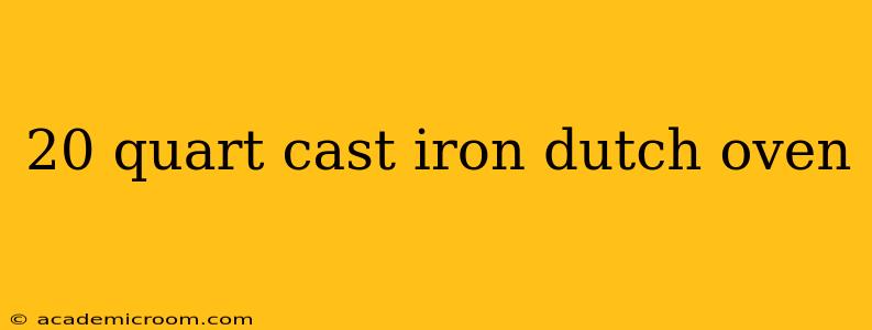 20 quart cast iron dutch oven
