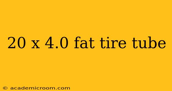 20 x 4.0 fat tire tube