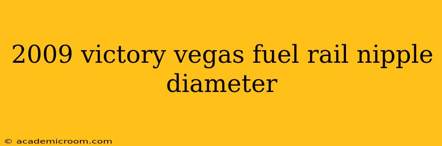 2009 victory vegas fuel rail nipple diameter