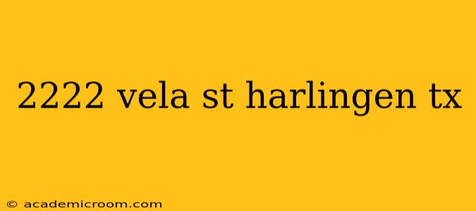 2222 vela st harlingen tx