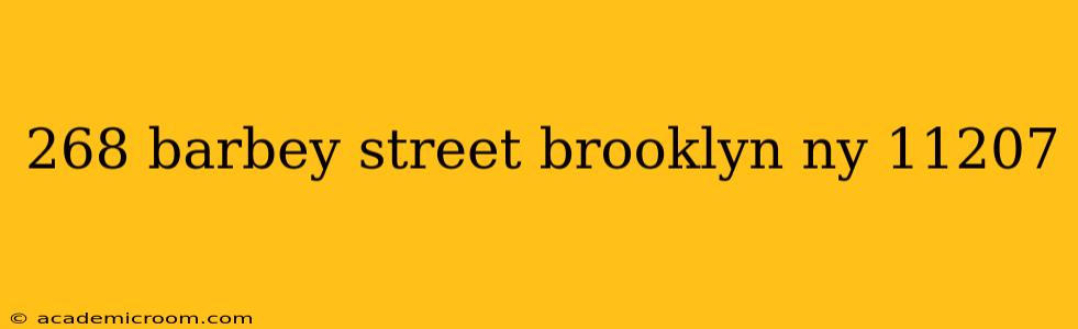 268 barbey street brooklyn ny 11207