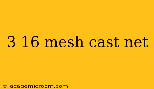 3 16 mesh cast net