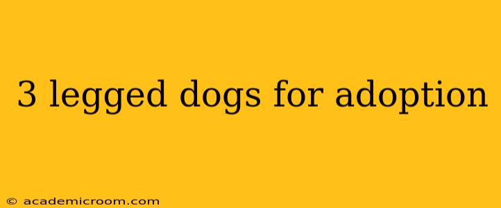 3 legged dogs for adoption
