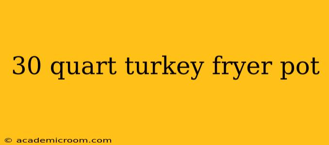 30 quart turkey fryer pot