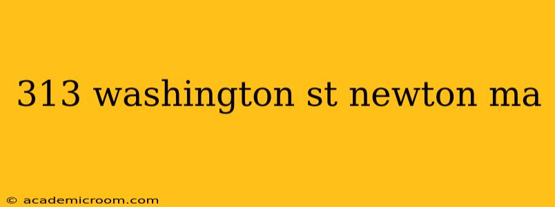 313 washington st newton ma