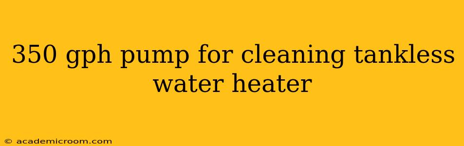 350 gph pump for cleaning tankless water heater
