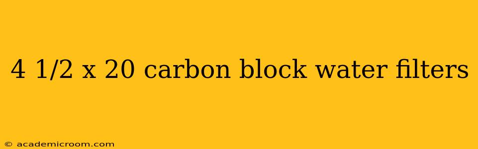 4 1/2 x 20 carbon block water filters