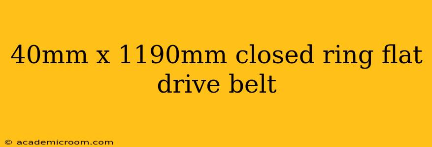 40mm x 1190mm closed ring flat drive belt