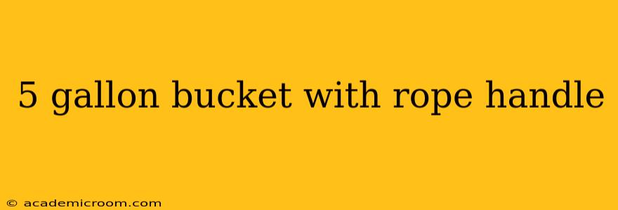 5 gallon bucket with rope handle