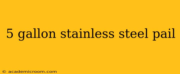 5 gallon stainless steel pail