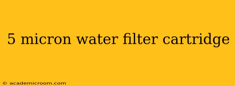 5 micron water filter cartridge