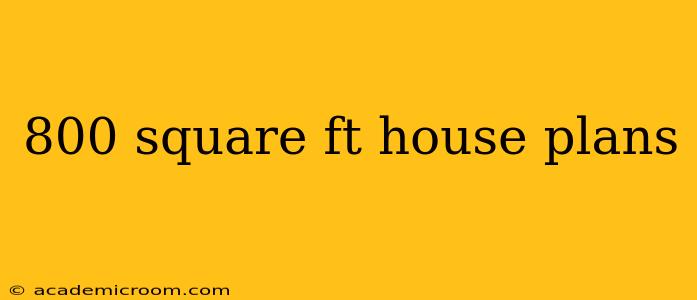 800 square ft house plans