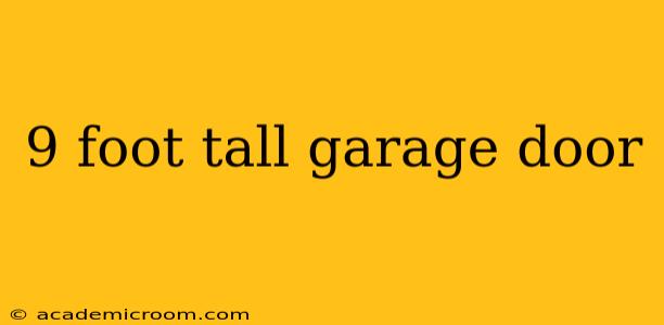 9 foot tall garage door