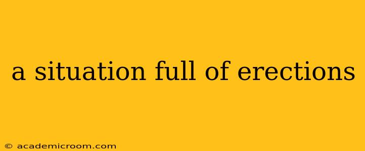 a situation full of erections