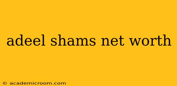 adeel shams net worth