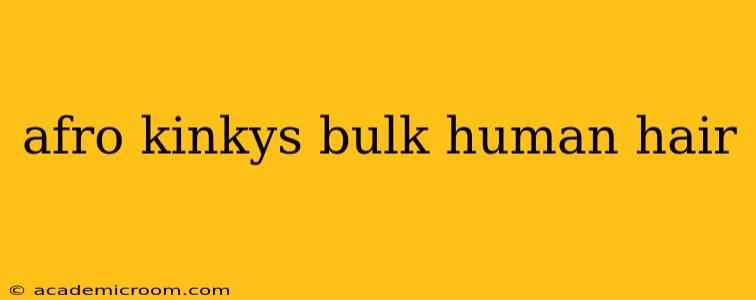 afro kinkys bulk human hair
