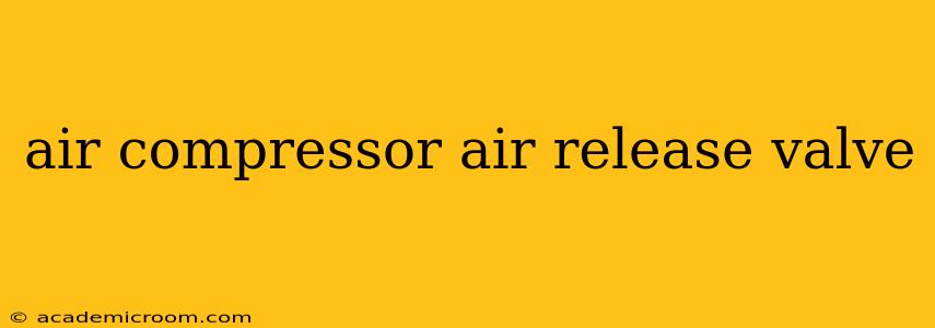 air compressor air release valve
