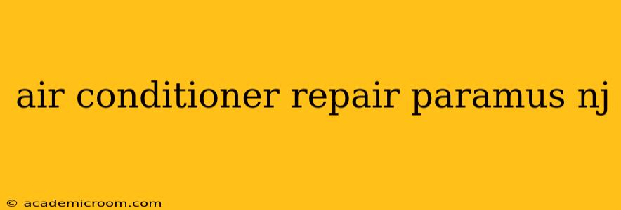 air conditioner repair paramus nj