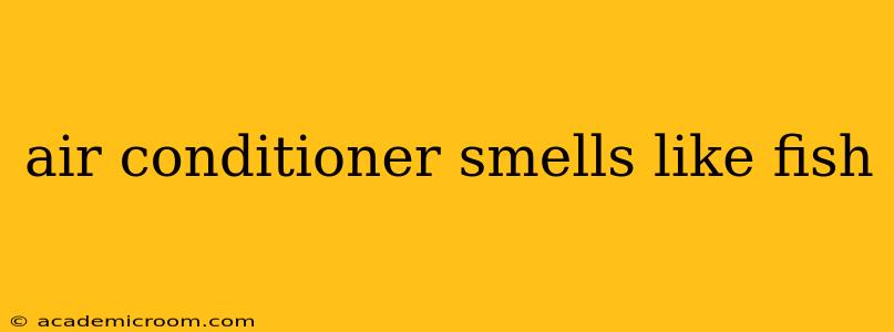 air conditioner smells like fish
