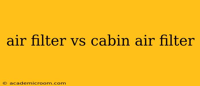 air filter vs cabin air filter