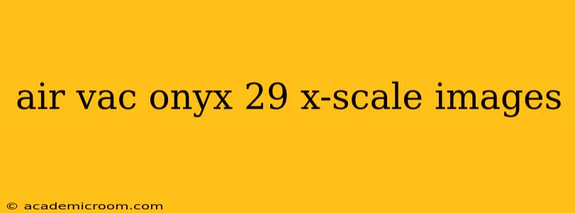 air vac onyx 29 x-scale images