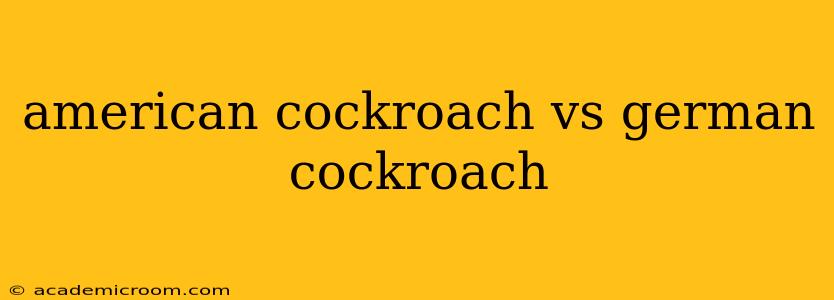 american cockroach vs german cockroach