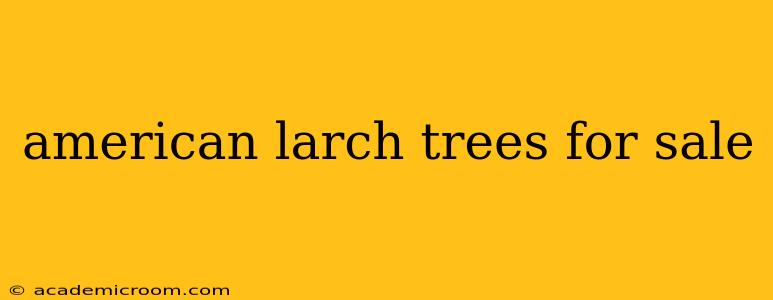american larch trees for sale