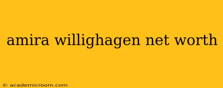 amira willighagen net worth