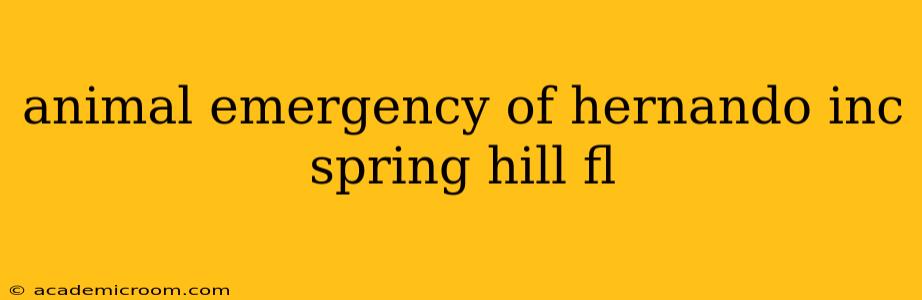 animal emergency of hernando inc spring hill fl