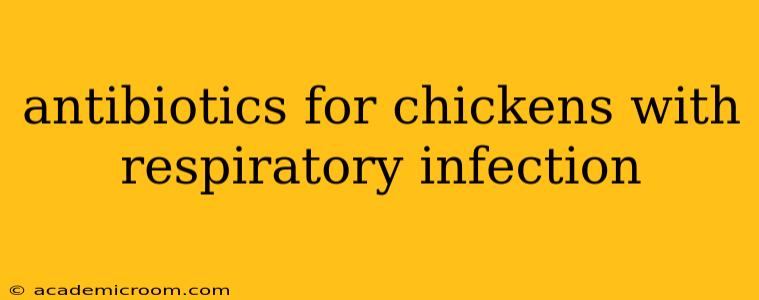 antibiotics for chickens with respiratory infection