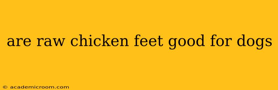 are raw chicken feet good for dogs