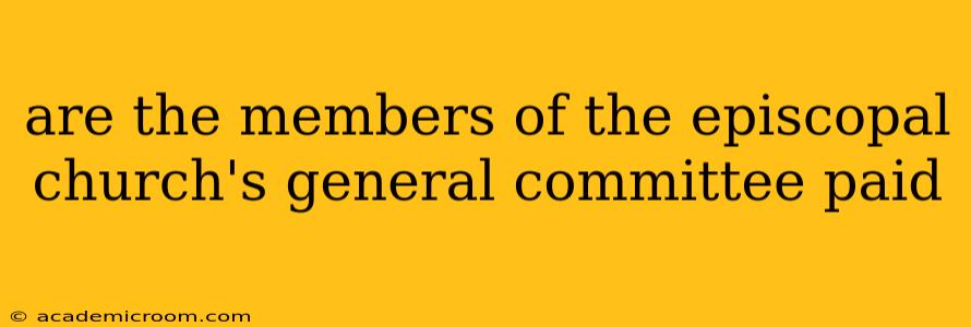 are the members of the episcopal church's general committee paid