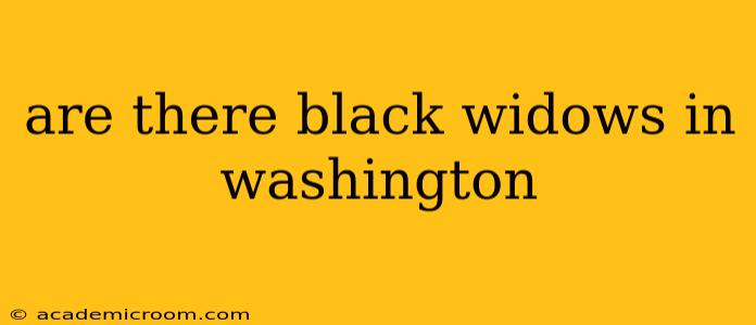 are there black widows in washington