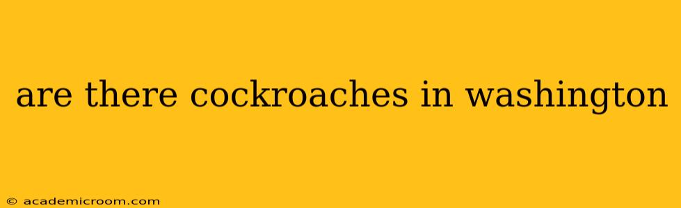 are there cockroaches in washington